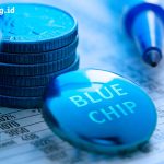 Mengapa Saham Blue Chip Dianggap Aman Bagi Investor Pemula?